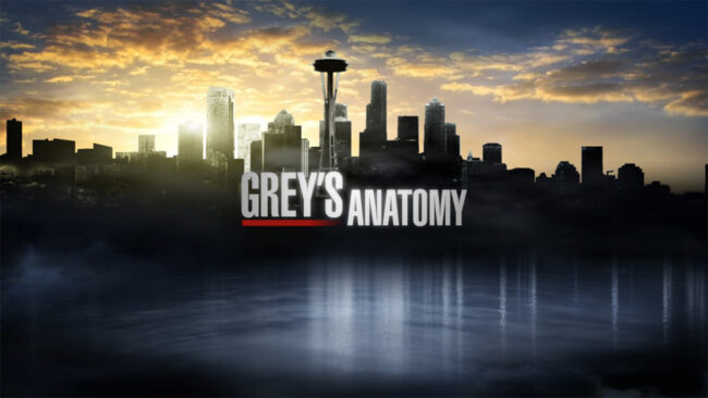 Does Grey’s Anatomy Have a Future ?