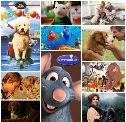 Top 10 Must Watch Movies for Animal Lovers